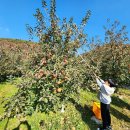 김삿갓농장 이미지