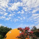 산내 청룡폭포 화장실 이미지