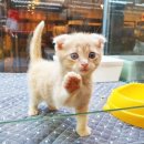 쓰담쓰담 이미지