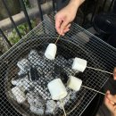 활활숯불 이미지