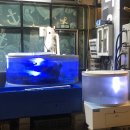 신어류기 이미지