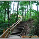 대야산자연휴양림 이미지