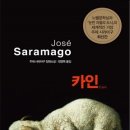 카인 이미지