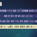 [돈문돈답, 경제 매거진] 1)반려동물 키우면 세금 내라? 반려동물 보유세 논란 2)배추 한 포기 2만 원? 올해 김장 비상... 이미지