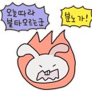 샌두 이미지