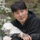 털뭉치들 뉴스엔