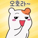 우리스포츠 이미지