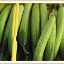 종희농장 이미지