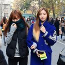 서프라이즈 이미지