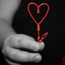 보육학개론 이미지