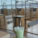 필라테리아