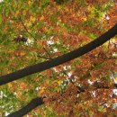 숲사랑유치원 이미지