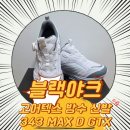 U.D.T GYM | 블랙야크 고어텍스 방수 트레킹화 343 MAX D GTX | 내돈내산 한 달 사용 후기