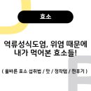 오롯이독