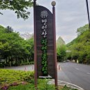 힐링(만인산) | [대전데이트] 만인산자연휴양림 드라이브데이트 - 봉이호떡 후기