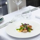 Tree of im 이미지