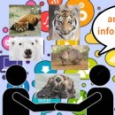 섬강고등학교 이미지