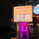 강남시소 | 강남역 조용한 술집 이자카야 단체석 강남시소 내돈내산 후기