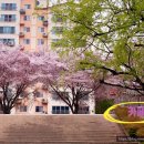 CU 동촌역가는길점 이미지