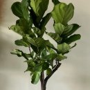 오월약국 이미지