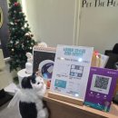 더펫 | 울산 신정동 펫더헤븐에서 강아지미용 내돈내산 후기