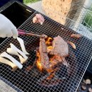 (주)위드독 이미지