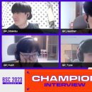피티시즌