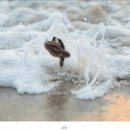 오늘도한의원 이미지