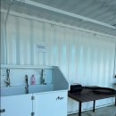 멍글멍글 이미지