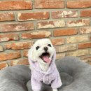 쫑랑쫑랑