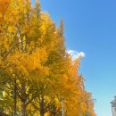 예산목장 이미지