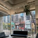 정자일로232번길 이미지