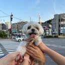 연세리즈의원 이미지