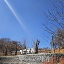 시민의숲산책로1-21 이미지