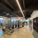 빅토리짐 이미지