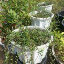 참살이농장 이미지