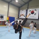 T-master 태권도 이미지