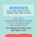 다솜동물병원 이미지