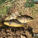 수질복원센터 이미지