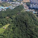 금성아파트앞 이미지