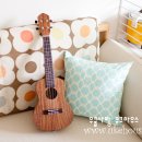 나의 사랑~우쿨렐레 이미지