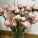 온다플라워 - 김해시 내외중앙로 123 | 온다플라워
