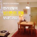 낫스탠다드호텔