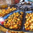 진아농장 이미지