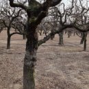 압량읍사무소 이미지