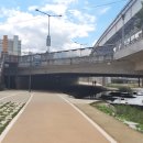 팔거천변 산책로3 이미지