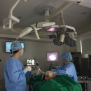 참동물의료센터 이미지