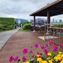 세종시 조치원청사 이미지