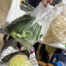 보성 제철해산물 맛집 득량수산 내돈내산 후기