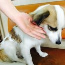 데굴데굴당구장 이미지